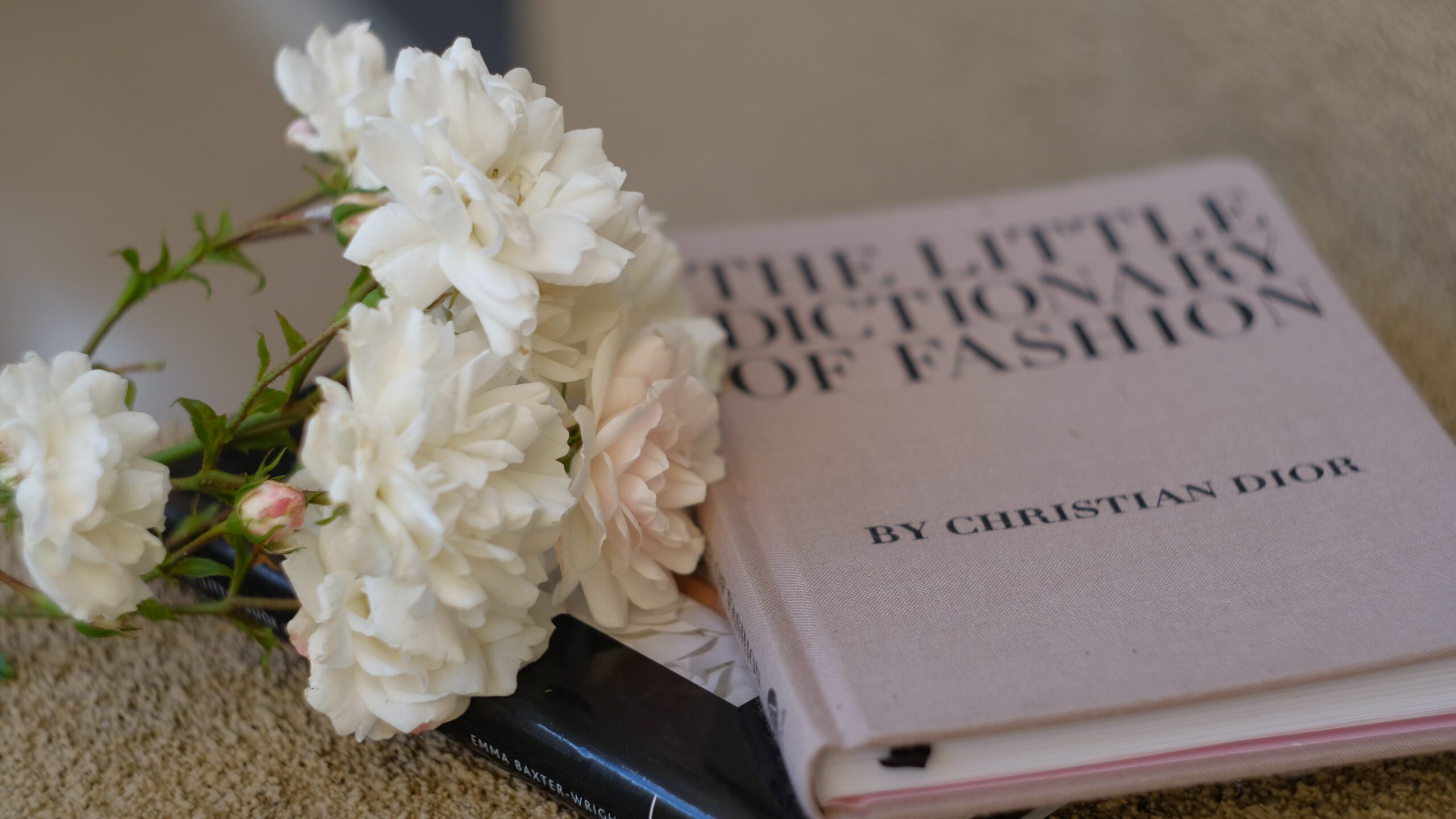 15 Fashion Books to read in Summer 2022